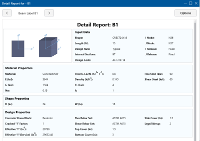 Detail Report for Concrete Member
